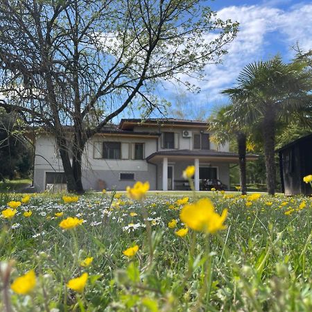 B&B Da Leone Palazzolo dello Stella Eksteriør billede