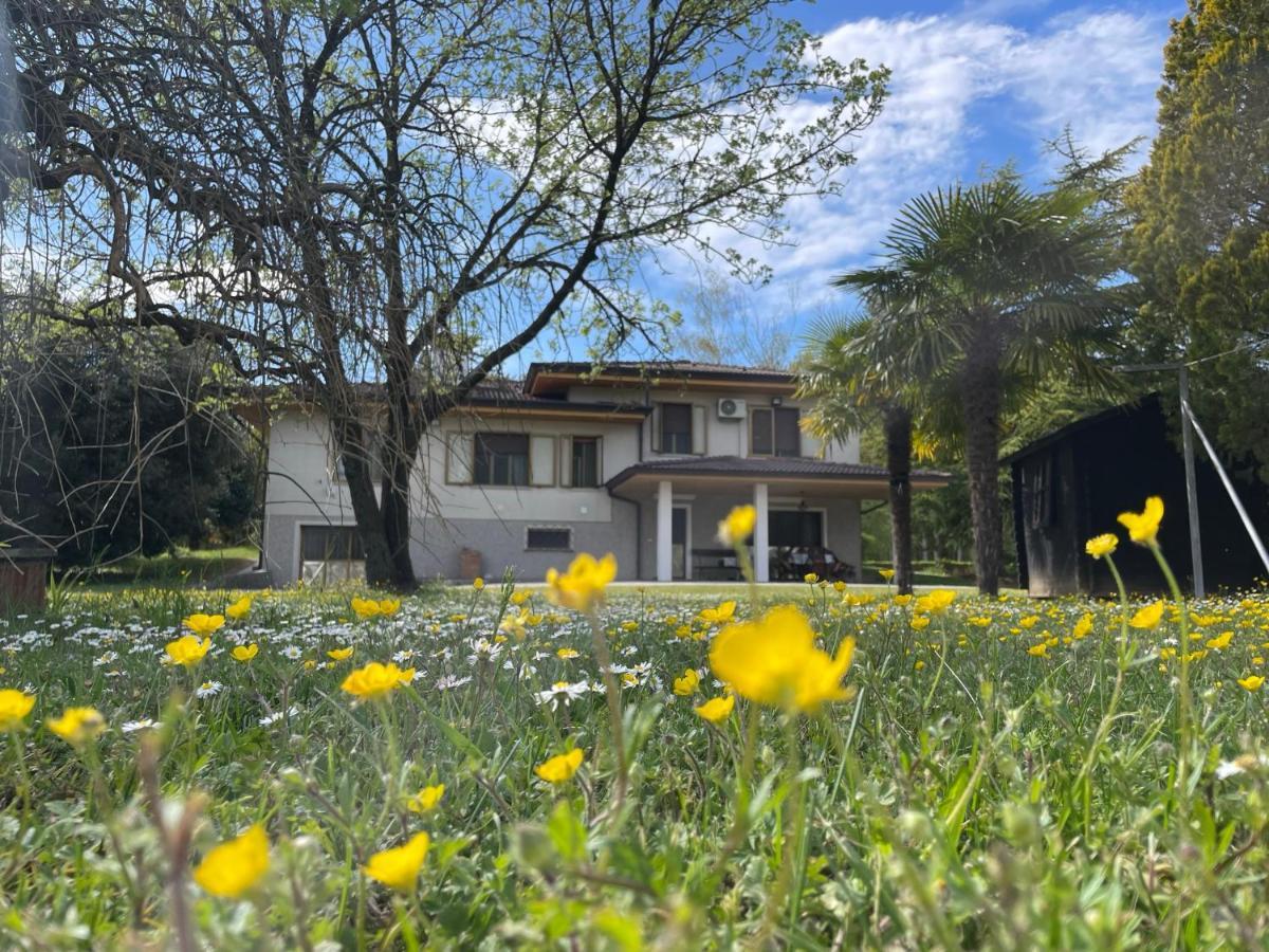 B&B Da Leone Palazzolo dello Stella Eksteriør billede