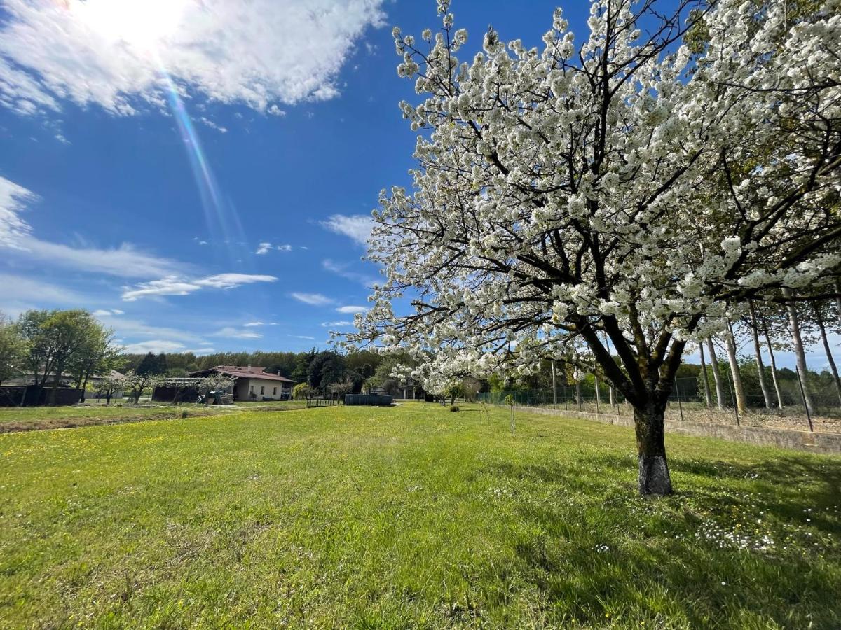 B&B Da Leone Palazzolo dello Stella Eksteriør billede